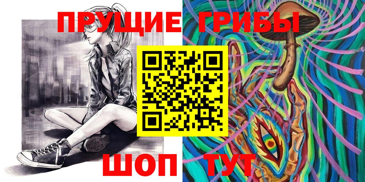 Псилоцибиновые грибы Psilocybe Сорочинск